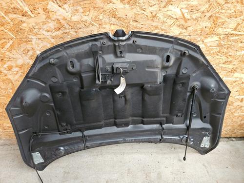 hood-renault-megane-iii-hatchback-bz01_-b3_-2008-29521515 main image