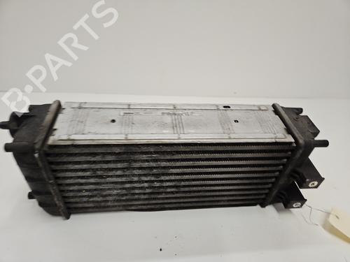 Intercooler CITROËN C4 II (NC_) 1.6 HDi 115 | BP30115960M30