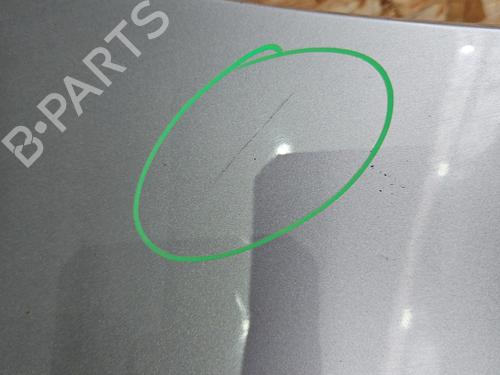 Right front fenders RENAULT CLIO III (BR0/1, CR0/1) 1.5 dCi (BR17, CR17) | BP29895689C42