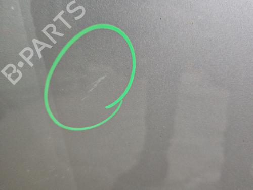 Hood RENAULT SCÉNIC III (JZ0/1_) 1.2 TCe | BP29895726C1 