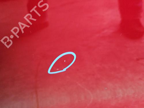 Left front door CITROËN C4 II (NC_) 1.6 HDi 115 | BP29981400C2