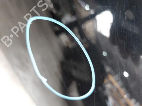 Right rear door FIAT CROMA (194_) 1.9 D Multijet (194AXB1B) | BP20899278C5 