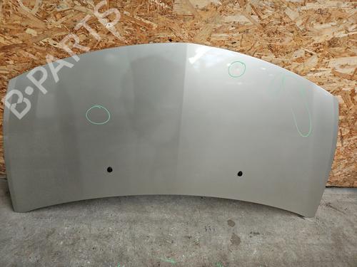 Used Hood RENAULT CLIO III (BR0/1, CR0/1) 1.5 dCi (BR17, CR17) (86 hp) 29895692