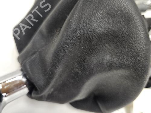 Gearstang Gearstang 39253069 39253069