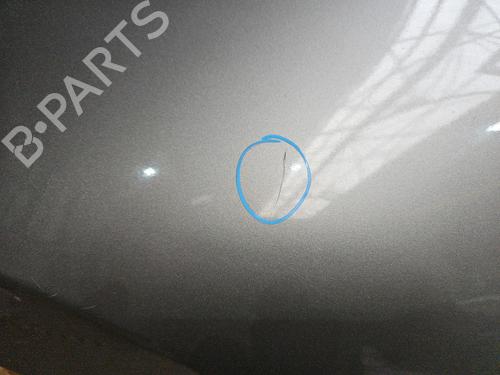 Left front fenders MERCEDES-BENZ A-CLASS (W169) A 170 (169.032, 169.332) | BP30046149C41 