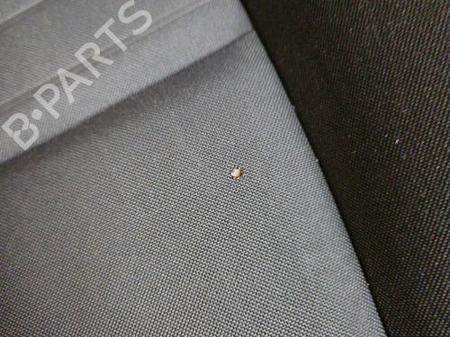 Left front seat RENAULT SCÉNIC III (JZ0/1_) 1.2 TCe | BP29895732C15 