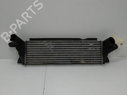 Intercooler RENAULT KANGOO (KC0/1_) 1.9 dCi 4x4 | BP20899867M30 