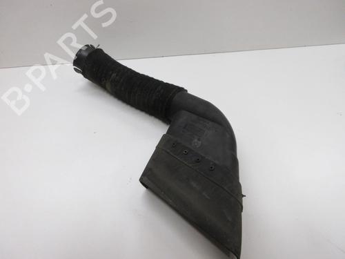 Pipe RENAULT MEGANE II (BM0/1_, CM0/1_) 1.9 dCi (BM0G, CM0G) | BP21815095M125 