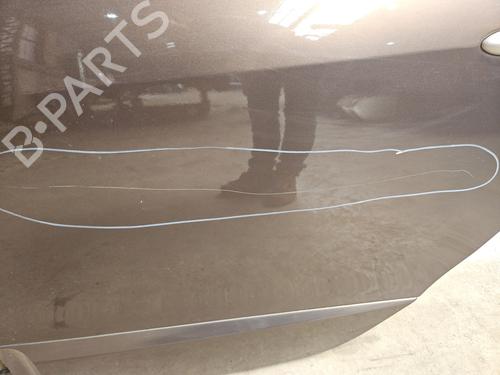Left rear door RENAULT SCÉNIC III (JZ0/1_) 1.6 dCi (JZ00, JZ12) | BP27167206C4 