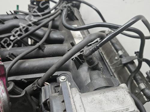 Engine RENAULT TWINGO II (CN0_) | BP36769024M1 - Image 6