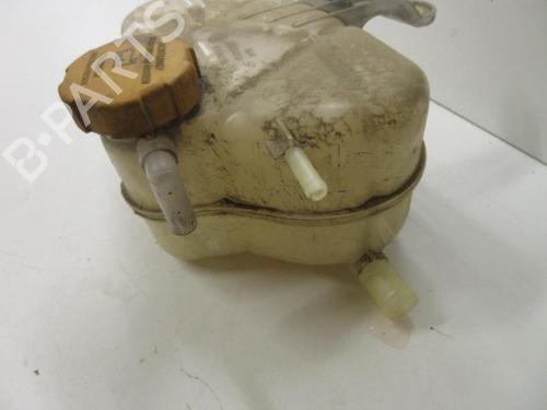Used Expansion tank OPEL CORSA D (S07) 1.3 CDTI (L08, L68) (90 hp) 20906647