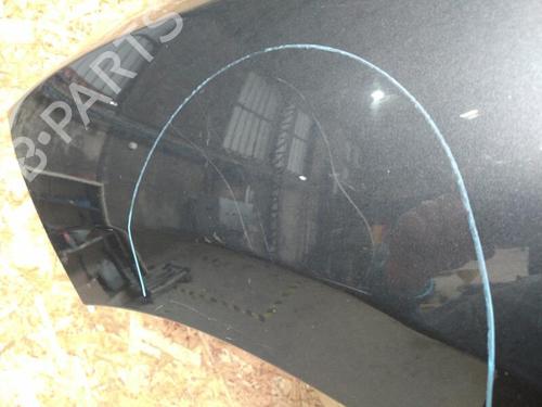 Left front fenders RENAULT MEGANE III Grandtour (KZ0/1) 1.5 dCi (KZ1M, KZ1W, KZ0R) | BP20905487C41 