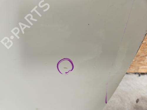 Left front door MINI MINI (R56) Cooper D | BP28030033C2 