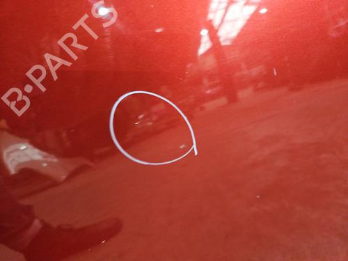 Left front door DACIA SANDERO 1.2 16V | BP29196661C2