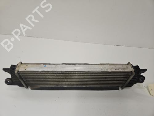 Used Intercooler Intercooler RENAULT KANGOO (KC0/1_) 1.9 dCi 4x4 (84 hp) 27506252 27506252