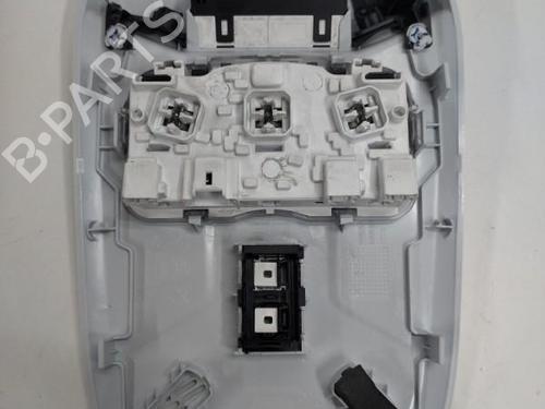 Used Interior roof light PEUGEOT 208 II (UB_, UP_, UW_, UJ_) 1.5 BlueHDI 100 (102 hp) 20893842
