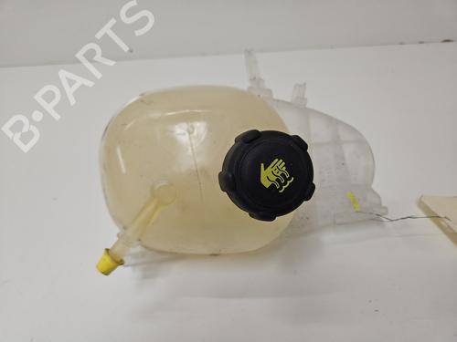 Used Expansion tank RENAULT TWINGO III (BCM_, BCA_) 1.0 SCe 75 (73 hp) 32664612