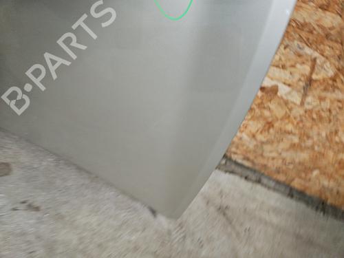 Hood RENAULT CLIO III (BR0/1, CR0/1) 1.5 dCi (BR17, CR17) | BP29895692C1