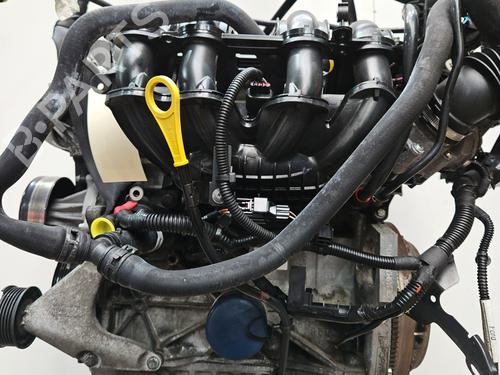 Engine FORD FIESTA VI (CB1, CCN) 1.25 | BP29520752M1 