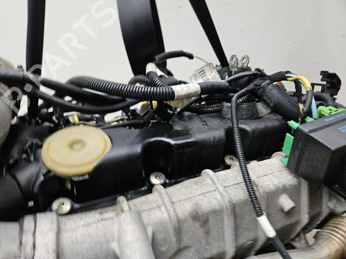 Engine PEUGEOT EXPERT Van (222) 2.0 HDI | BP29392534M1 