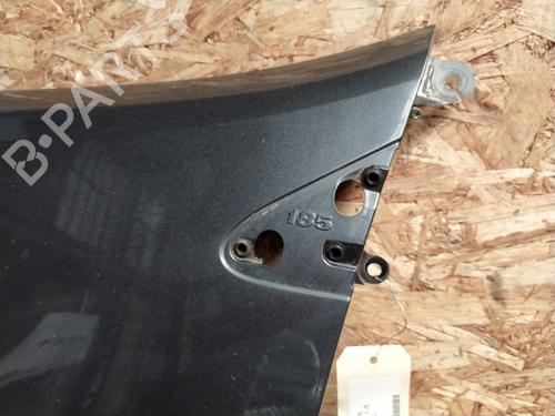 Left front fenders RENAULT CLIO III (BR0/1, CR0/1) 1.5 dCi (C/BR0G, C/BR1G) | BP20907662C41 