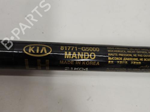 Tailgate lift support KIA NIRO I (DE) 1.6 GDI Plug-in Hybrid | BP29549797C138 
