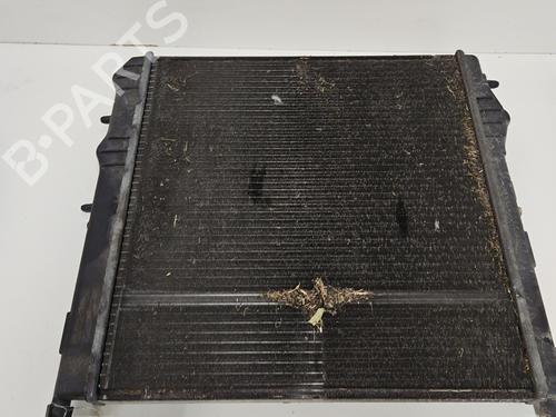 Used Water radiator Water radiator PEUGEOT 207 (WA_, WC_) 1.6 16V VTi (120 hp) 25267129 25267129