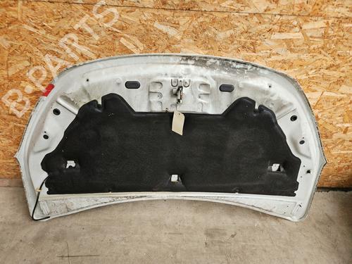 Hood DACIA LODGY (JS_) 1.2 TCe (JSAY, JSM0) | BP29196664C1 