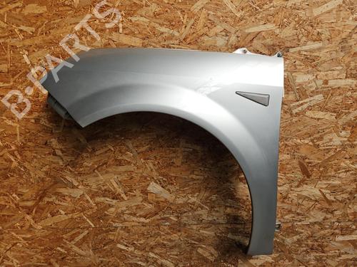 Used Left front fenders RENAULT SCÉNIC II (JM0/1_) 1.9 dCi (JM14) (131 hp) 24939979