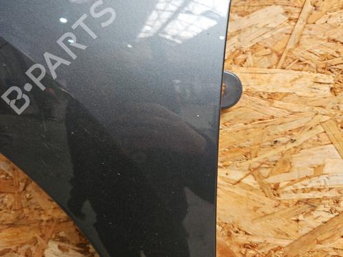 Left front fenders PEUGEOT 308 I (4A_, 4C_) 1.6 16V | BP29578415C41