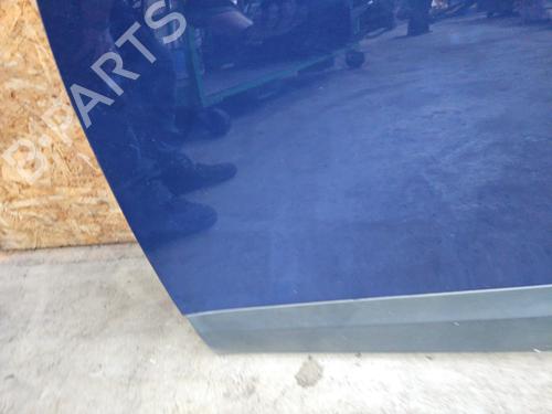 Left front door RENAULT SCÉNIC III (JZ0/1_) 1.5 dCi | BP29640301C2 