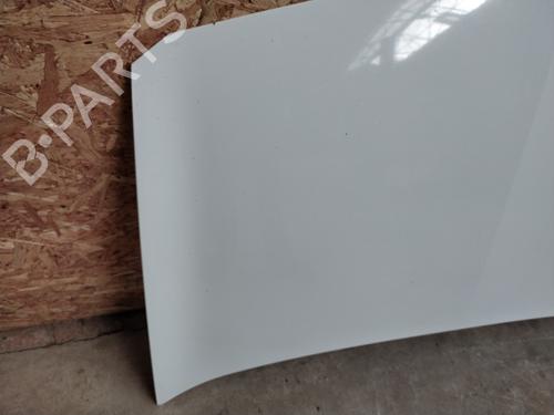 Hood RENAULT MEGANE II (BM0/1_, CM0/1_) 1.5 dCi (BM0F, BM0T, BM2B, CM0F, CM0T) | BP23843075C1 
