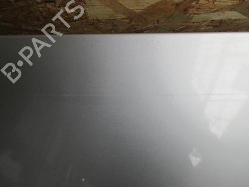 Used Tailgate RENAULT MEGANE II (BM0/1_, CM0/1_) 1.9 dCi (131 hp) 20891422