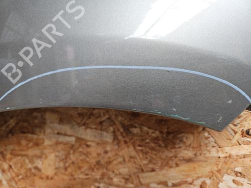 Right front fenders RENAULT SCÉNIC III (JZ0/1_) 1.5 dCi | BP26461988C42 