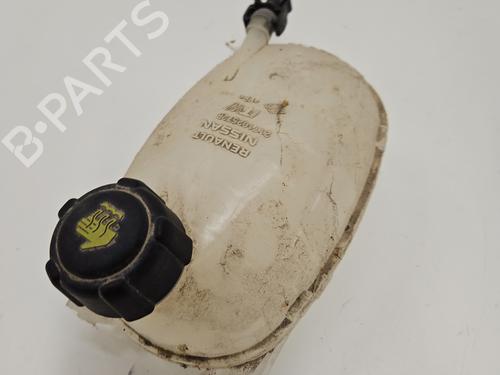 Used Expansion tank RENAULT CLIO V (B7_) 1.0 SCe 65 (B7MG) (67 hp) 28091169