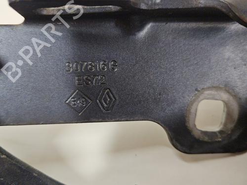 Hinge/Door check strap RENAULT CLIO III (BR0/1, CR0/1) 1.5 dCi (BR17, CR17) | BP24917706C146 