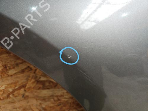 Left front fenders MERCEDES-BENZ A-CLASS (W169) A 170 (169.032, 169.332) | BP30046149C41 