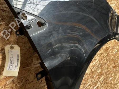 Right front fenders RENAULT CLIO III (BR0/1, CR0/1) 1.5 dCi (C/BR0G, C/BR1G) | BP20899725C42 