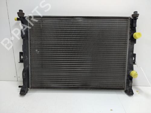 Used Water radiator Water radiator RENAULT MEGANE II (BM0/1_, CM0/1_) 1.4 16V (BM0B, CM0B) (98 hp) 20887927 20887927