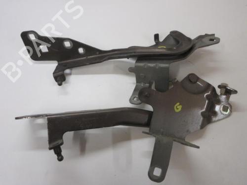 Used Hinge/Door check strap RENAULT GRAND SCÉNIC III (JZ0/1_) 1.5 dCi (JZ0B, JZ07) (106 hp) 20906440