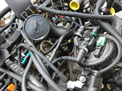 Engine PEUGEOT EXPERT Van (222) 2.0 HDI | BP29392534M1 