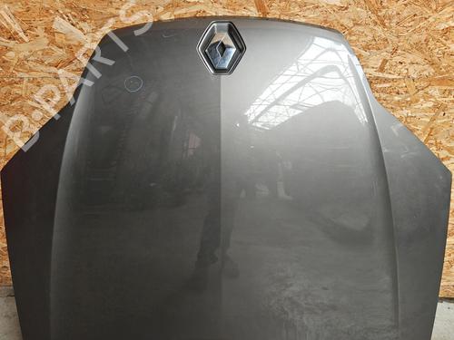Used Hood RENAULT LAGUNA III (BT0/1) 1.5 dCi (BT00, BT0A, BT0T, BT1J) (110 hp) 28306211