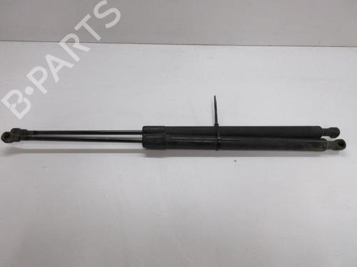 Used Tailgate lift support RENAULT SCÉNIC III (JZ0/1_) 1.5 dCi (106 hp) 20902823