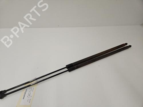 Used Tailgate lift support RENAULT KANGOO / GRAND KANGOO II (KW0/1_) 1.5 dCi 90 (KW05, KW08, KW0G, KW11) (90 hp) 29372271