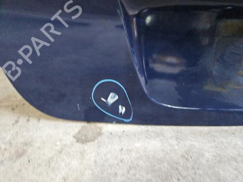 Tailgate RENAULT SCÉNIC III (JZ0/1_) 1.5 dCi | BP29640297C6 