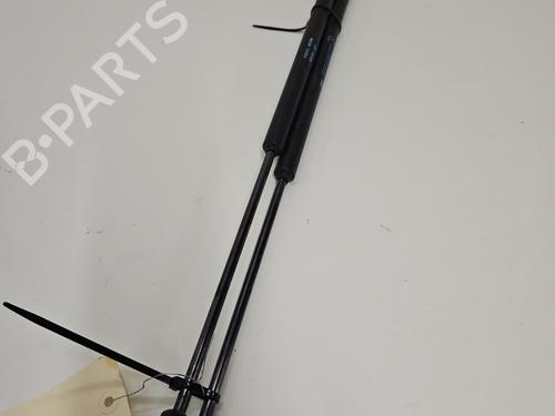 tailgate-lift-support-peugeot-1007-km_-2005-31301346 main image