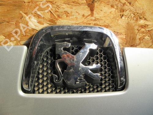 Hood PEUGEOT 407 Coupe (6C_) 2.7 HDi | BP23842975C1 