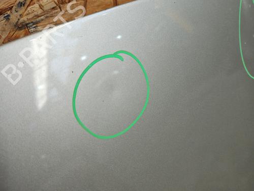 Hood RENAULT CLIO III (BR0/1, CR0/1) 1.5 dCi (BR17, CR17) | BP29895692C1