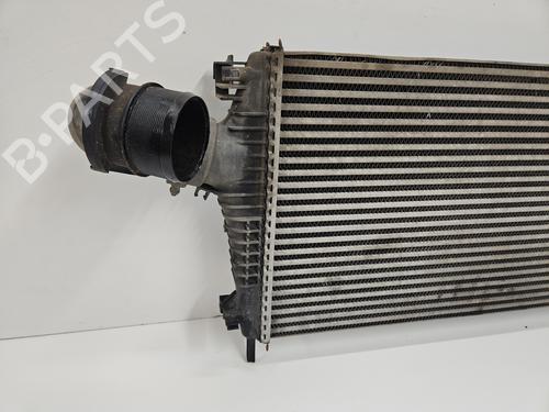 Used Intercooler Intercooler OPEL INSIGNIA A (G09) 2.0 CDTI (68) (131 hp) 27642311 27642311