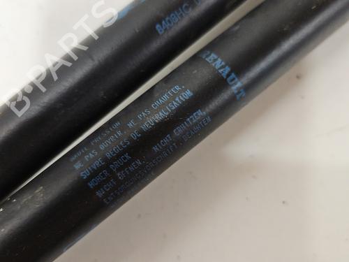 Tailgate lift support RENAULT CLIO II (BB_, CB_) 1.5 dCi (B/CB07) | BP29978806C138